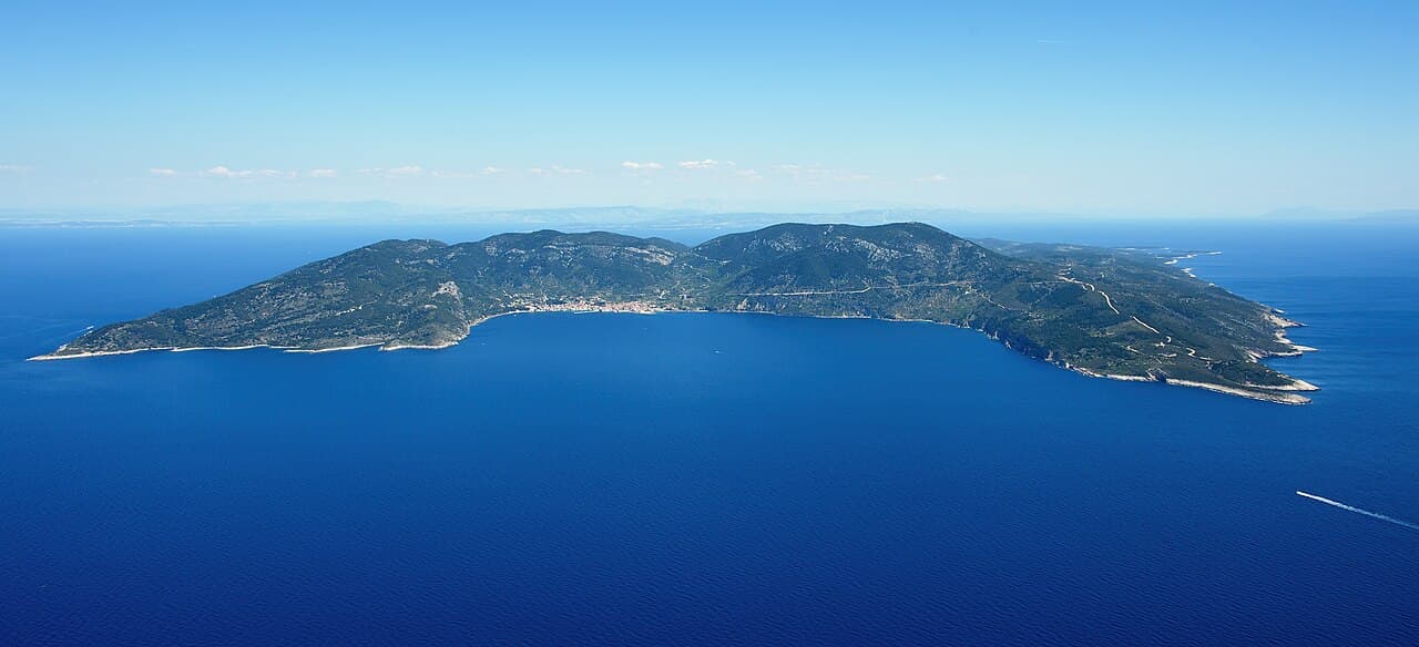 Vis