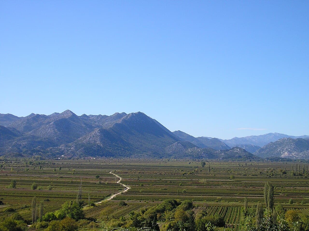 Vrgorsko polje
